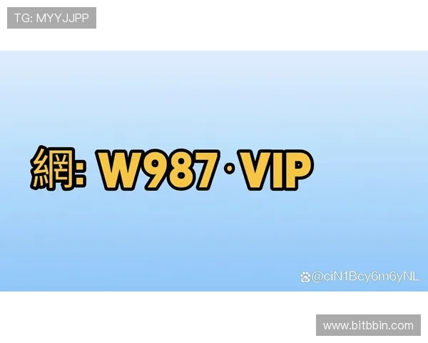 BBIN电脑版官网官方平台安全稳定登录入口全面介绍