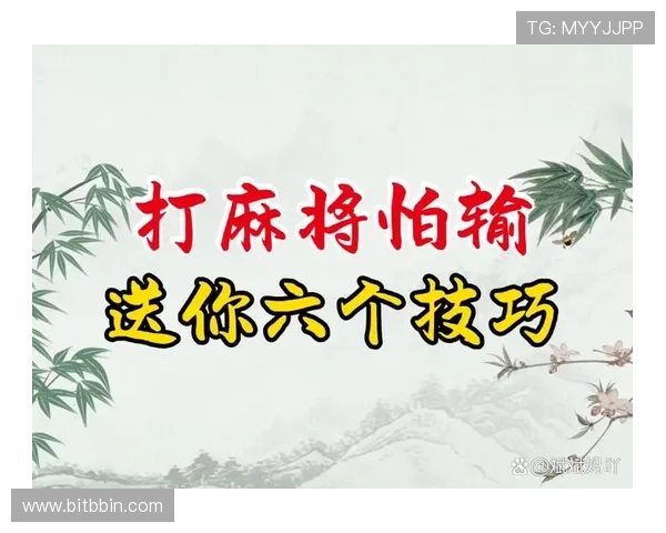 二人麻将游戏最佳策略分析，提升胜率的实用技巧与实战经验