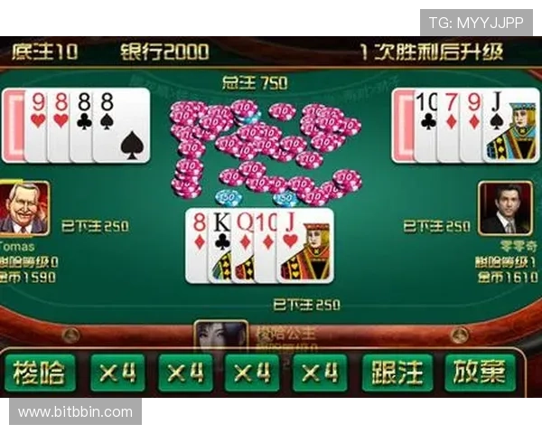 梭哈梭哈：深度剖析游戏中的风险控制与资金管理策略